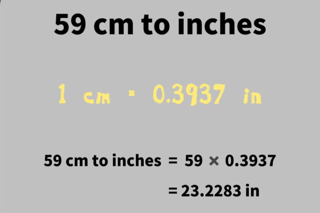 59cm in inches